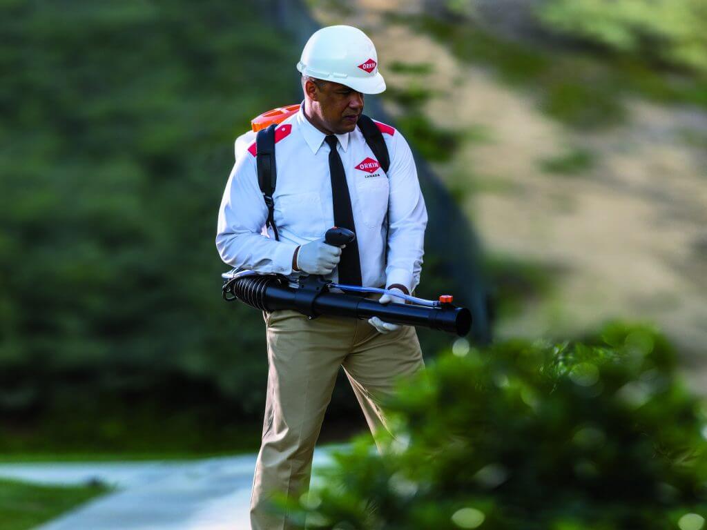 Le technicien d'Orkin fait l'enlèvement de l'extérieur