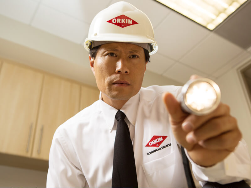 Technicien d'Orkin Canada en train d'inspecter