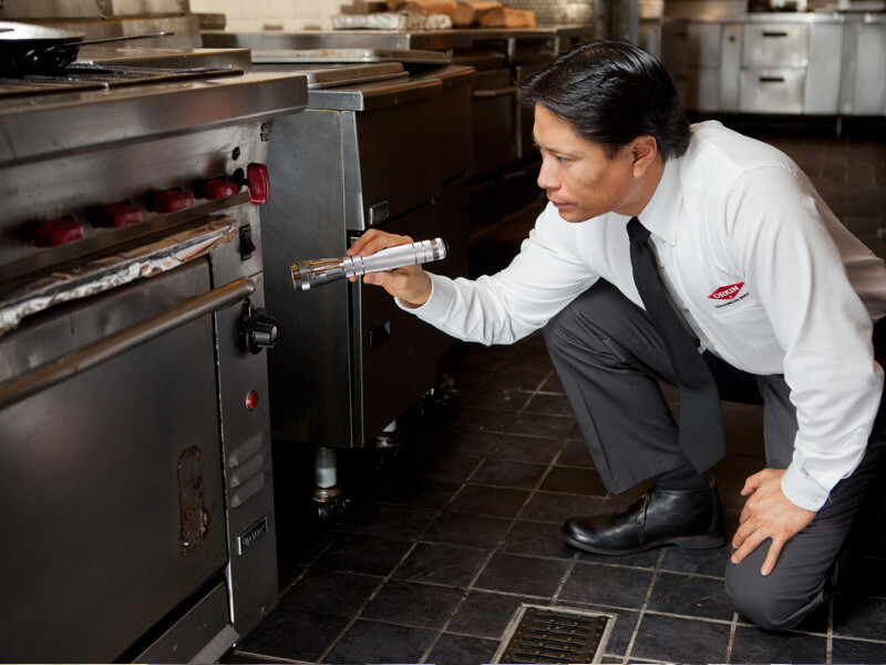 Technicien d'Orkin Canada en train d'inspecter une cuisine de restaurant