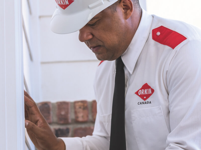 Inspection extérieure d'une maison par un technicien Orkin