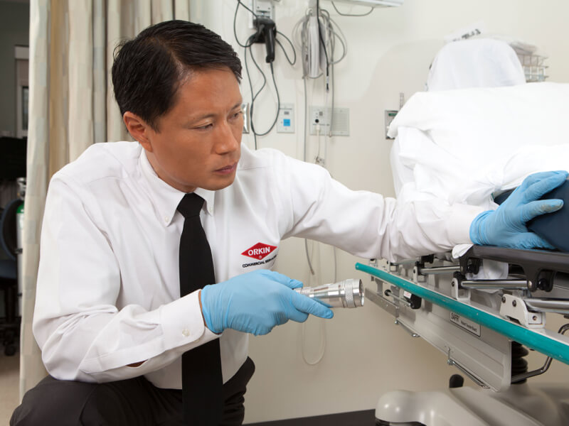 Orkin Technician doing medical inspection